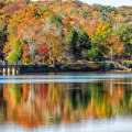 Exploring the Vibrant Exhibits in Montgomery County, MD