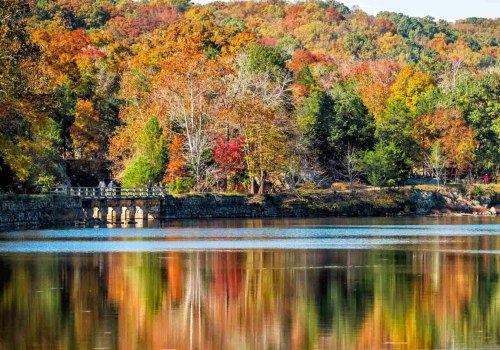 The Best Time to Explore the Exhibits in Montgomery County, MD